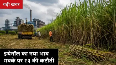 इथेनॉल का नया भाव: मक्के पर ₹3 की कटौती, गन्ने से बनने वाले इथेनॉल की खरीद ही बंद — जानें गन्ना किसान पर क्या असर
