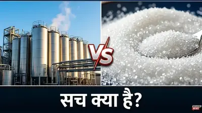 खतरे की घंटी! गन्ने में लग रही रेड रॉट बीमारी - किसान हो जाएं सावधान, ऐसे करें बचाव