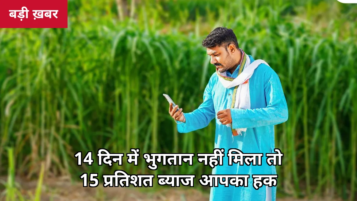 14 दिन में गन्ना भुगतान नहीं मिला? किसानों को देरी पर 15% ब्याज का कानूनी हक — पैसा कैसे मिलेगा, पूरी प्रक्रिया जानिए