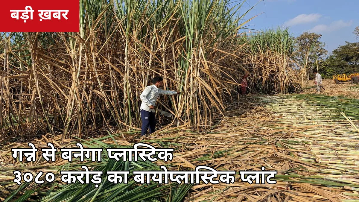 गन्ने से बनेगा प्लास्टिक: लखीमपुर खीरी में ₹3,080 करोड़ का बायोप्लास्टिक प्लांट अक्टूबर में शुरू — किसानों को 3 बड़े फायदे