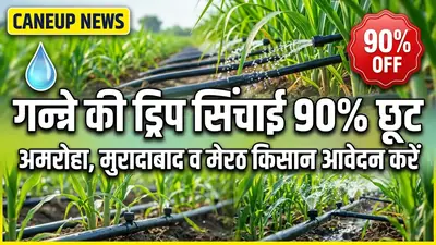 गन्ने की ड्रिप सिंचाई पर 90% सब्सिडी: अमरोहा, मुरादाबाद व मेरठ के किसान ऐसे करें ऑनलाइन आवेदन