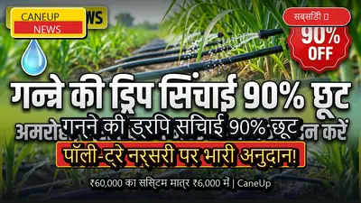 गन्ने की ड्रिप सिंचाई और पॉली-ट्रे नर्सरी पर 90 प्रतिशत सब्सिडी, 60 हजार का सिस्टम मात्र 6 हजार में