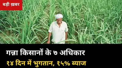 पेराई 20 अक्टूबर से पहले जान लें: गन्ना किसानों के 7 कानूनी अधिकार — 14 दिन में भुगतान, 15% ब्याज और शिकायत का रास्ता
