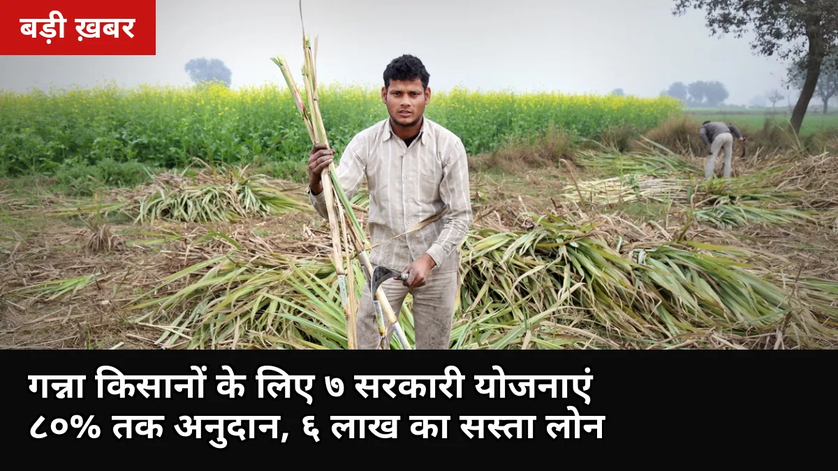 गन्ना किसानों के लिए 7 सरकारी योजनाएं: 80% तक अनुदान, 6 लाख का सस्ता लोन और सोलर पंप पर 70% सब्सिडी — अक्टूबर में ऐसे उठाएं लाभ