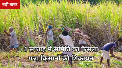 1 सप्ताह में उच्चस्तरीय समिति: गन्ना किसानों की शिकायतों पर केंद्र का बड़ा फैसला — जानिए क्या होगा, यूपी के 48 लाख किसानों पर असर