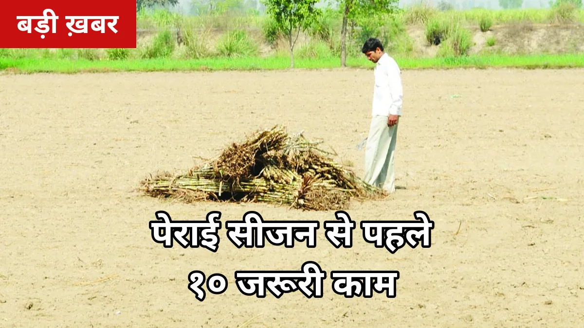 पेराई सीजन शुरू होने से पहले: गन्ना किसान के 10 जरूरी काम, वरना पर्ची और पेमेंट दोनों अटकेगा