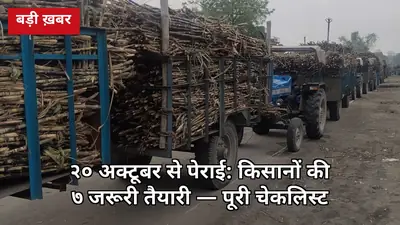 20 अक्टूबर से पेराई का काउंटडाउन: गन्ना किसानों की 7 तैयारी — भाव से बैंक खाते तक पूरी चेकलिस्ट जानिए