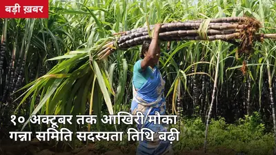 गन्ना समिति सदस्यता: 10 अक्टूबर 2026 तक आखिरी मौका, देरी हुई तो पर्ची और सरकारी भाव दोनों से वंचित रहेंगे किसान