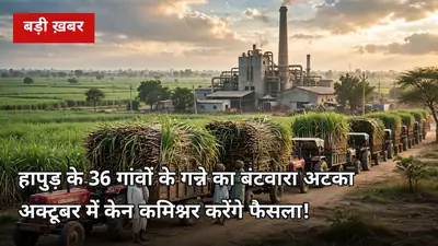 हापुड़ के 36 गांवों के गन्ने का बंटवारा अटका: सिंभावली-ब्रजनाथपुर मिलों से छिन सकता है गन्ना, अक्टूबर में केन कमिश्नर करेंगे फैसला