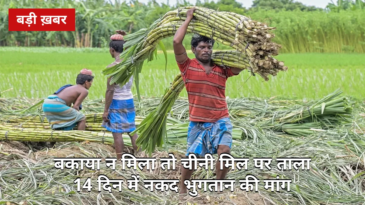 14 दिन में नकद भुगतान नहीं तो चीनी मिल पर ताला! हापुड़ के सिंभावली में तीन संगठनों की संयुक्त पंचायत