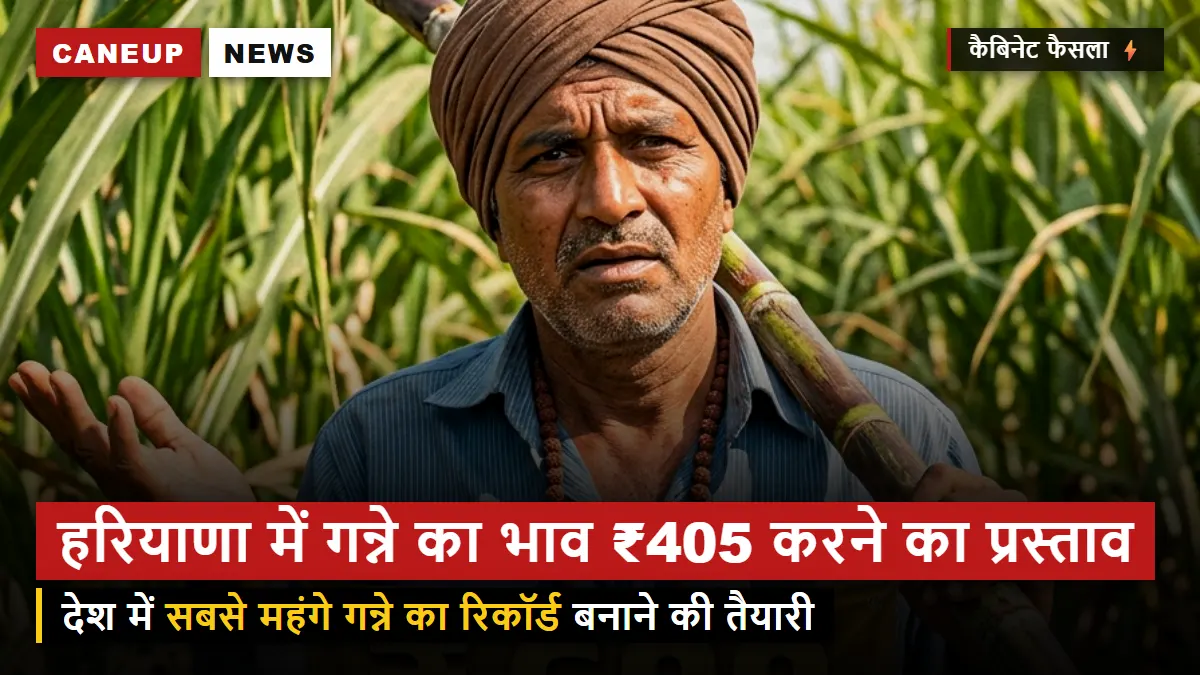 हरियाणा कैबिनेट में गन्ने का भाव ₹405 करने का प्रस्ताव तैयार — देश में सबसे महंगे गन्ने का रिकॉर्ड कायम