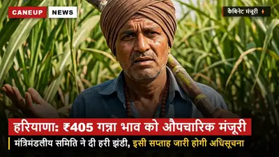 हरियाणा मंत्रिमंडलीय उप-समिति ने ₹405 गन्ना भाव को दी मंजूरी — इसी सप्ताह जारी होगी अधिसूचना