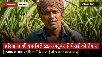 हरियाणा शुगरफेड की 14 मिलें 25 अक्टूबर से पेराई को तैयार — ₹405 भाव पर किसानों के बॉन्ड भरने का काम शुरू