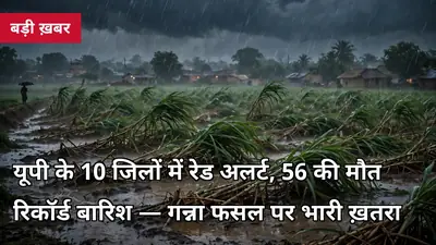 🚨 BREAKING: यूपी के 10 जिलों में रेड अलर्ट, 3 दिन में 56 की मौत — रिकॉर्ड बारिश से गन्ना फसल पर खतरा, किसान तुरंत करें ये उपाय