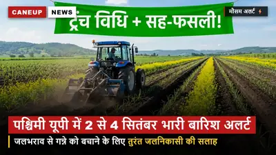 मौसम विभाग का अलर्ट — पश्चिमी यूपी में 2 से 4 सितंबर तक भारी बारिश, जलभराव से गन्ने को बचाने की सलाह
