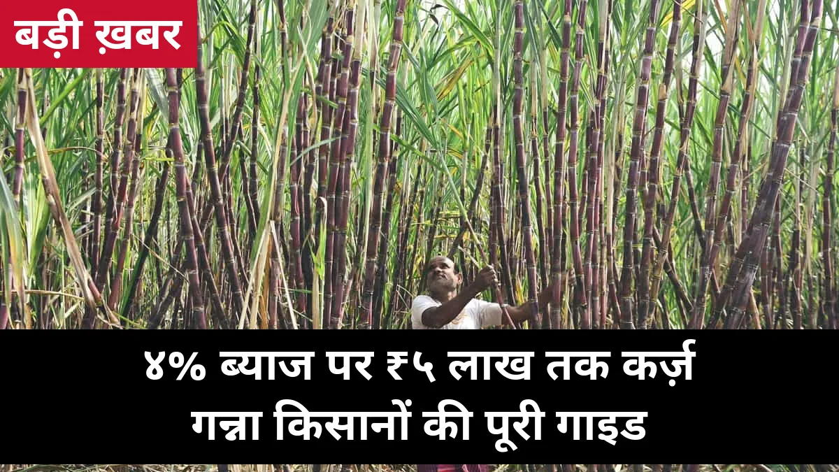गन्ना किसानों को 4% ब्याज पर ₹5 लाख तक का लोन: किसान क्रेडिट कार्ड की पूरी गाइड, पात्रता और आवेदन प्रक्रिया
