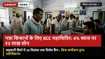 गन्ना किसानों के लिए केसीसी (KCC) नवीनीकरण महाशिविर: सहकारी बैंकों में 4% ब्याज पर ₹3 लाख तक ऋण — फसल बीमा व शून्य प्रोसेसिंग फीस