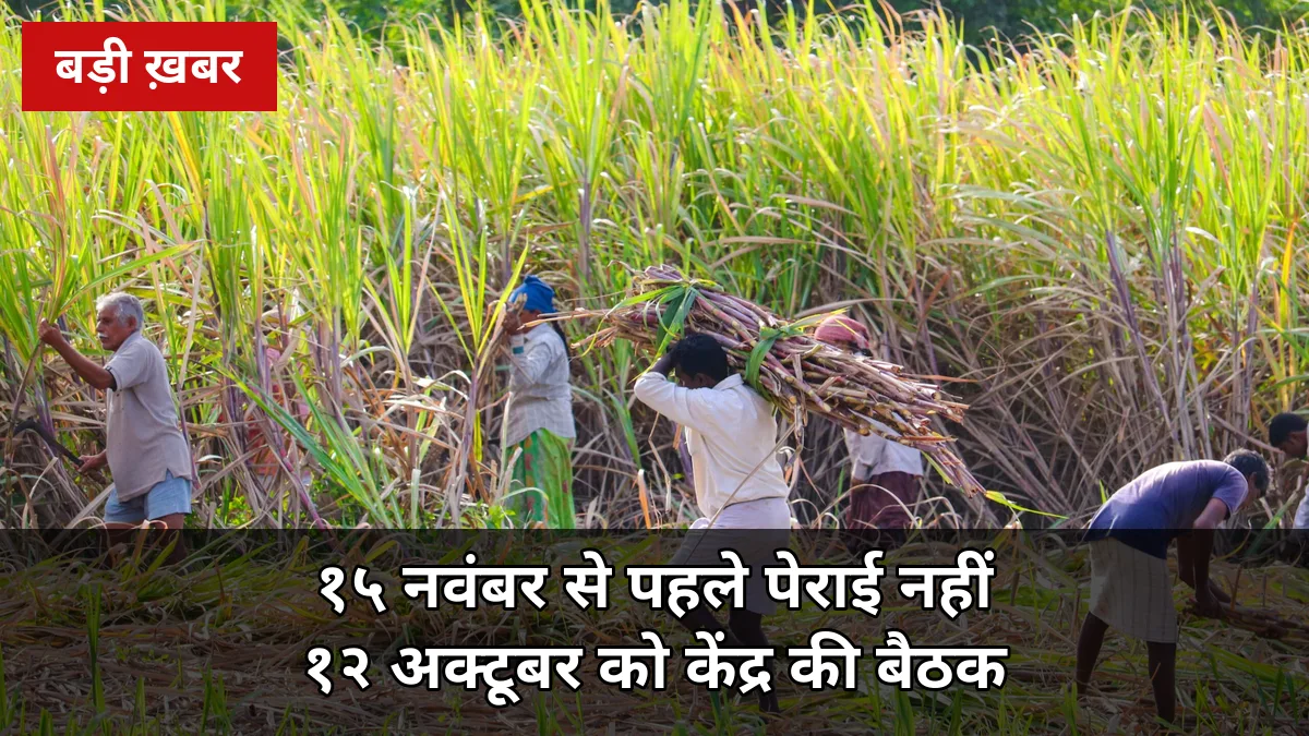 15 नवंबर से पहले गन्ना पेराई नहीं: किसान संगठनों की कड़ी चेतावनी, 12 अक्टूबर को केंद्रीय मंत्री की बैठक — यूपी किसानों पर असर