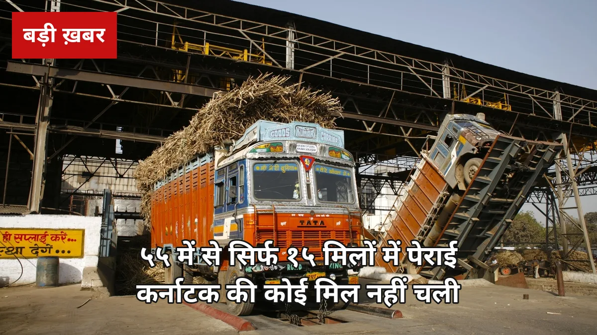 55 में से सिर्फ 15 मिलों में शुरू हुई पेराई: महाराष्ट्र-कर्नाटक में गन्ना आंदोलन जारी, कर्नाटक की कोई मिल नहीं चली — यूपी किसान यह बात जरूर समझें