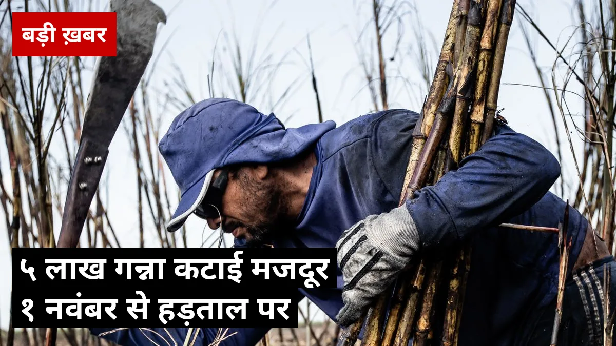 1 नवंबर से थम सकती है महाराष्ट्र की पेराई: 5 लाख गन्ना कटाई मजदूरों ने दी हड़ताल की चेतावनी, 100% वेतन वृद्धि की मांग