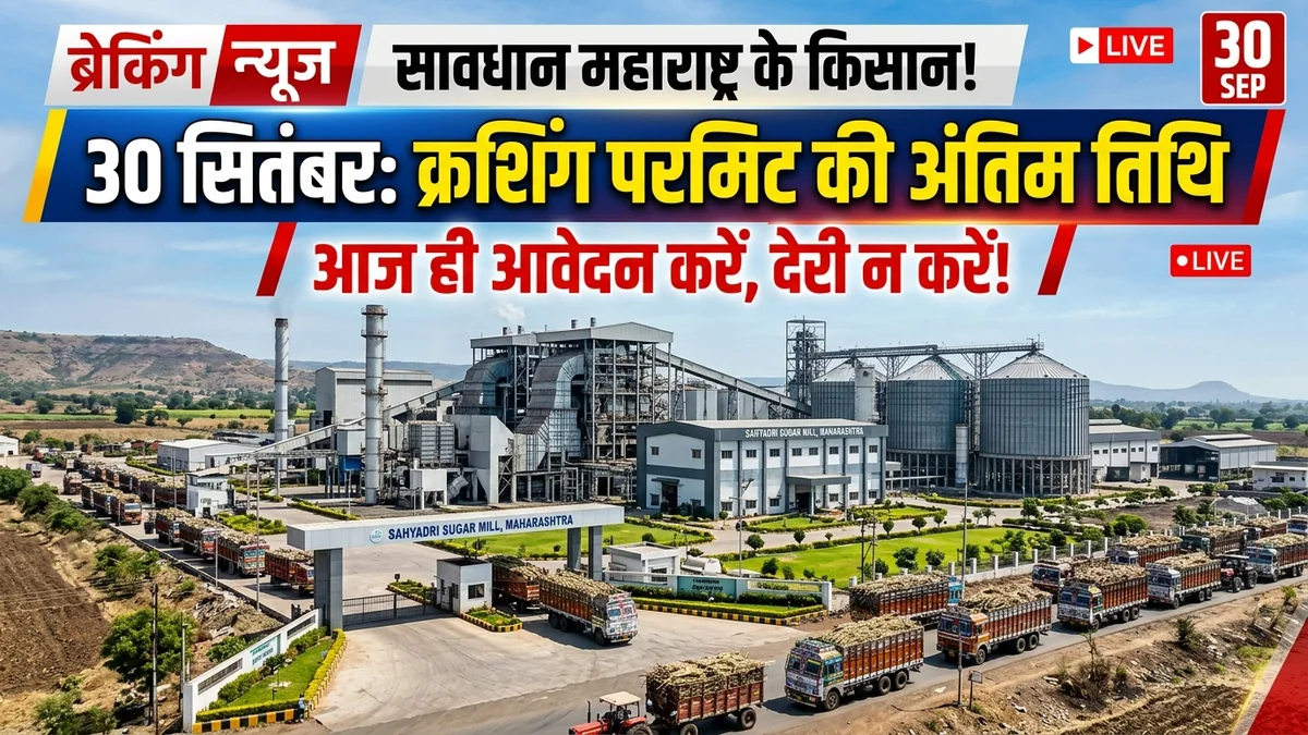 महाराष्ट्र चीनी मिलों के लिए 30 सितंबर की डेडलाइन जारी — ऑनलाइन क्रशिंग परमिट अनिवार्य!
