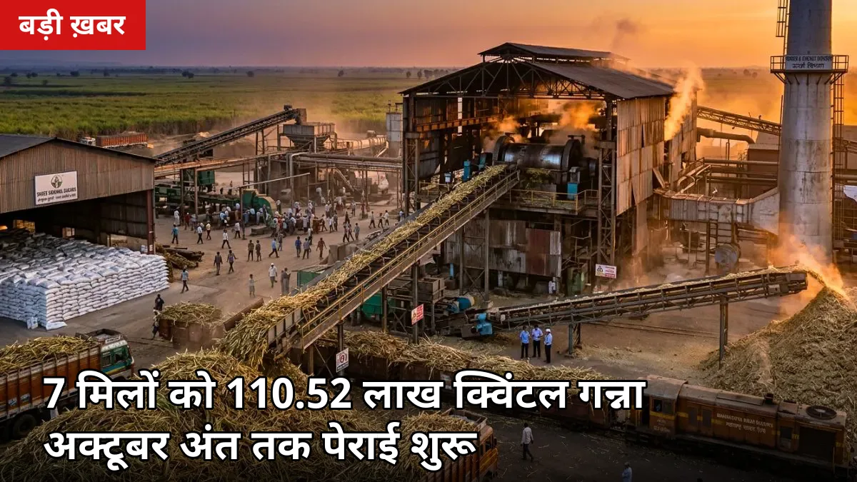 मुरादाबाद की 7 मिलों को 110.52 लाख क्विंटल गन्ना: अक्टूबर अंत तक पेराई शुरू, किसानों को क्या मिलेगा