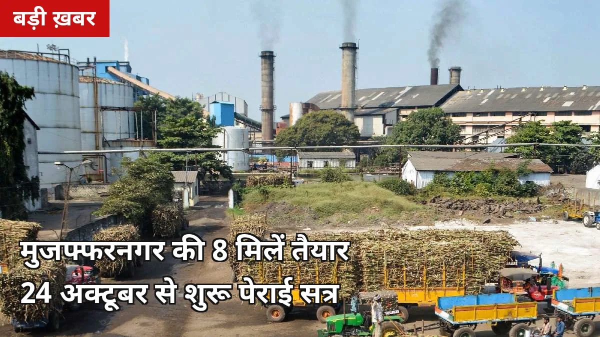 24 अक्टूबर से मंसूरपुर: मुजफ्फरनगर की 8 चीनी मिलों का पेराई शेड्यूल जारी, देखें कब चालू होगी आपकी मिल