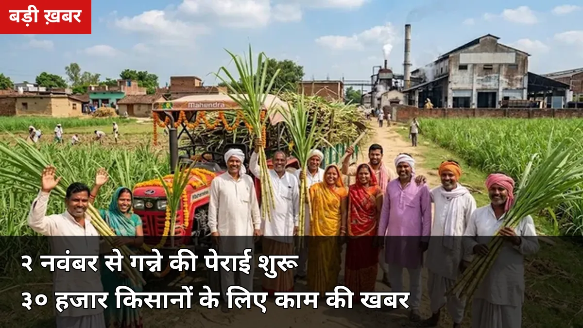 नंगलामल शुगर मिल 2 नवंबर से शुरू करेगी गन्ने की पेराई, 30,000 किसान अभी निपटा लें ये 7 जरूरी काम