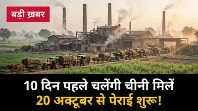 पश्चिमी UP में 10 दिन पहले चलेंगी चीनी मिलें: 20 अक्टूबर से पेराई शुरू, किसानों को गेहूं बुआई में बड़ा फायदा