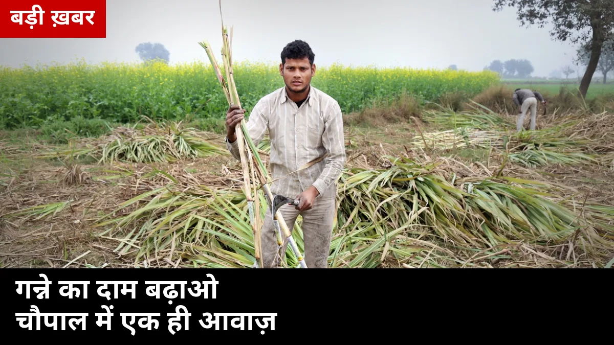 पुरकाज़ी से सरधना तक चौपाल में एक ही आवाज़: गन्ने का दाम बढ़ाओ — 20 अक्टूबर से पेराई से पहले किसानों की 5 मांगें