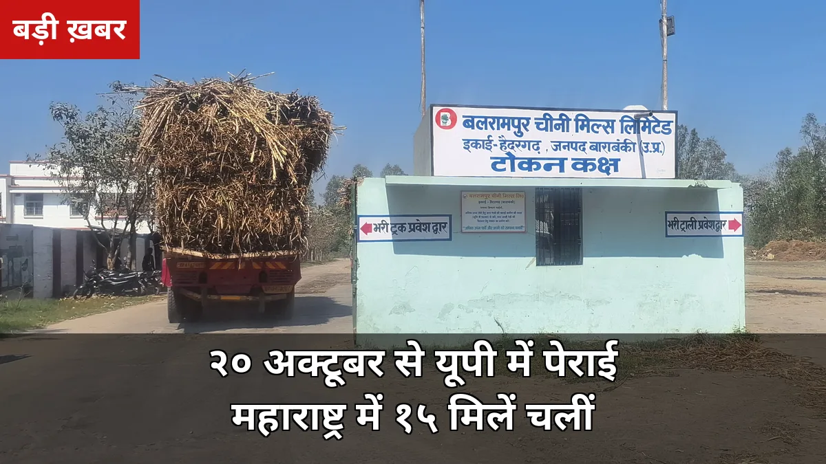 20 अक्टूबर से यूपी की मिलों में गन्ना पेराई शुरू: महाराष्ट्र में 15 मिलें चलीं, सहारनपुर में सिर्फ देवबंद — किसानों के लिए 5 काम की खबरें