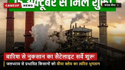 फसल बीमा का बड़ा फैसला — अगस्त की बारिश और जलभराव से नुकसान का सैटेलाइट सर्वे शुरू