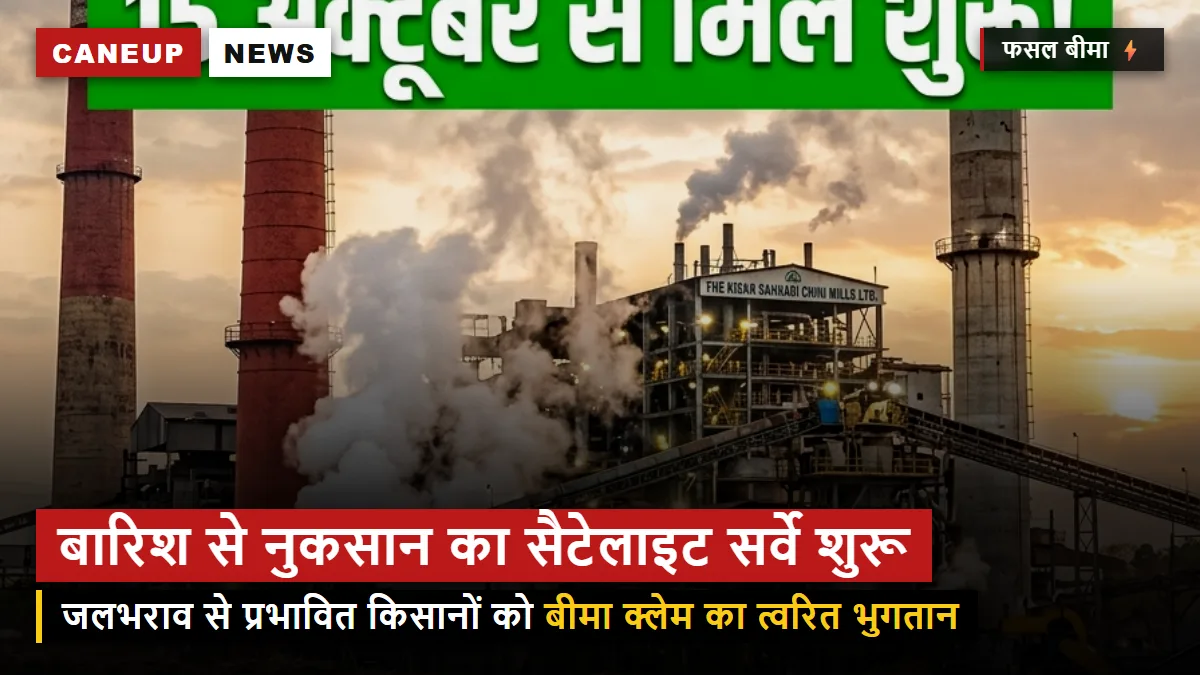 फसल बीमा का बड़ा फैसला — अगस्त की बारिश और जलभराव से नुकसान का सैटेलाइट सर्वे शुरू