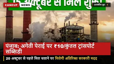 पंजाब सरकार का बड़ा फैसला — 20 अक्टूबर से पहले पेराई शुरू करने वाली मिलों को ₹10/कुंतल ट्रांसपोर्ट सब्सिडी