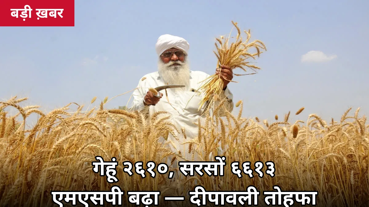 गेहूं ₹2,610/क्विंटल, सरसों ₹6,613: 6 रबी फसलों का एमएसपी बढ़ा — गन्ना किसानों को दीपावली से पहले डबल राहत