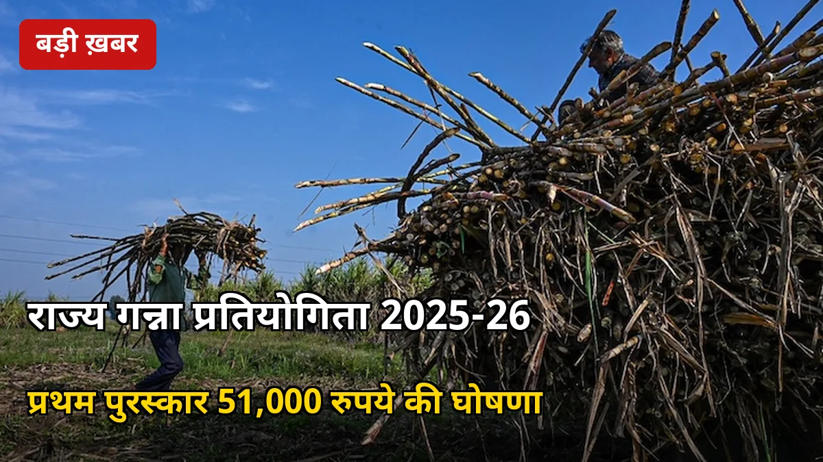 1821 कुंतल उपज लेकर प्रदेश स्तरीय पुरस्कार! राज्य गन्ना प्रतियोगिता 2025-26 के 7 विजेताओं की घोषणा, पहला इनाम ₹51,000