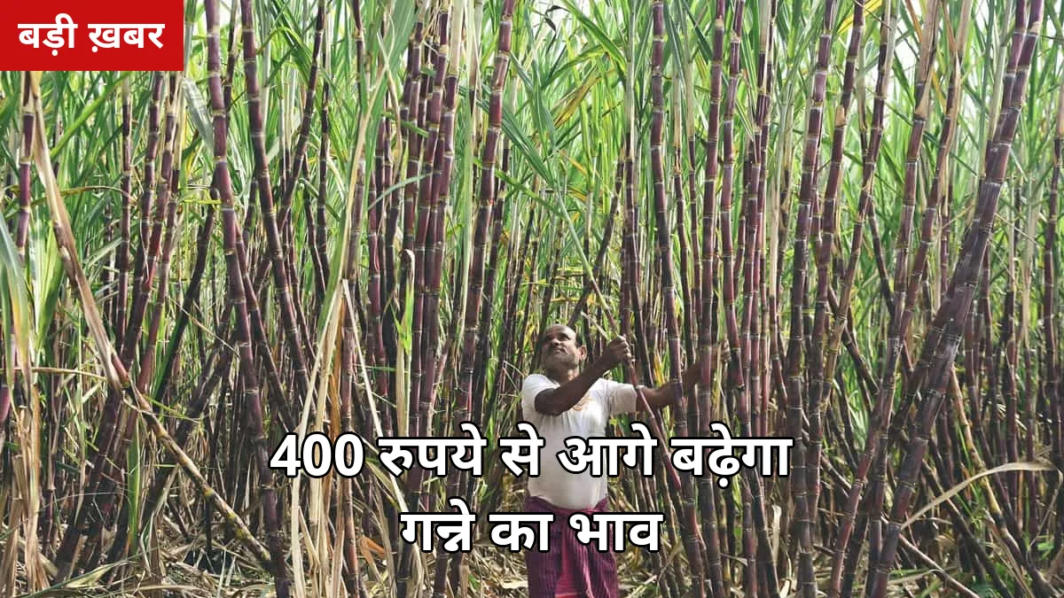 ₹400 से आगे बढ़ेगा गन्ने का भाव: रालोद प्रदेश अध्यक्ष का मेरठ में दावा — पेराई सत्र से पहले जानिए 2026-27 SAP का सच