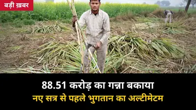 88.51 करोड़ बकाया नहीं चुकाया तो गन्ना दूसरी मिलों को: सहारनपुर डीएम का बजाज गांगनौली मिल को सख्त अल्टीमेटम