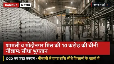 शामली व मोदीनगर मिल पर प्रशासन का हंटर: 10 करोड़ की चीनी नीलामी का नोटिस — किसानों के खातों में सीधे पहुंचेगा बकाया