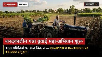 शरदकालीन गन्ना बुवाई महा-अभियान — 168 गन्ना समितियों पर Co-0118 व Co-15023 बीज वितरण शुरू, ₹5,000 प्रोत्साहन