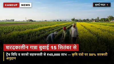 शरदकालीन गन्ना बुवाई 15 सितंबर से शुरू — ट्रेंच विधि और सरसों सहफसली पर ₹45,000 अतिरिक्त मुनाफा, कृषि यंत्रों पर 50% छूट