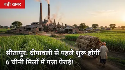 सीतापुर के गन्ना किसानों के लिए खुशखबरी! दीपावली से पहले शुरू होगी 6 चीनी मिलों में पेराई, जानिए पूरा शेड्यूल