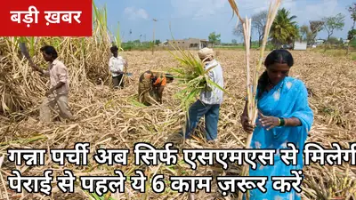 गन्ना पर्ची अब सिर्फ SMS से — पेराई से पहले ये 6 काम न किए तो मिल तक नहीं पहुंचेगा आपका गन्ना