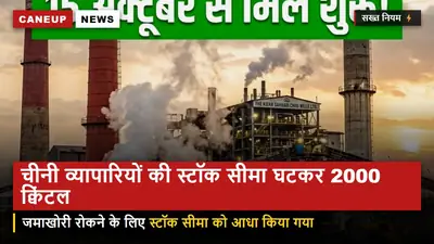 केंद्र का बड़ा फैसला — चीनी व्यापारियों के लिए स्टॉक सीमा घटकर 2,000 क्विंटल हुई, कालाबाजारी पर कड़ा शिकंजा