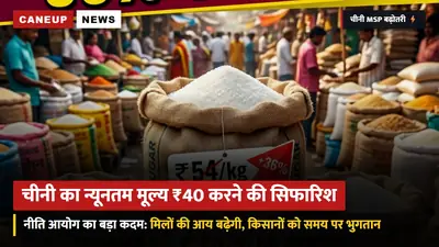 चीनी का न्यूनतम बिक्री मूल्य (MSP) ₹31 से बढ़ाकर ₹40 करने की नीति आयोग की सिफारिश: मिलों की आय बढ़ेगी, 14 दिन में होगा गन्ना भुगतान