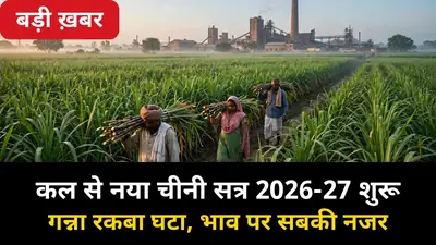 कल से नया चीनी सत्र 2026-27 शुरू: गन्ने का रकबा घटा, भाव पर सबकी नजर — किसानों के लिए क्या बदलेगा