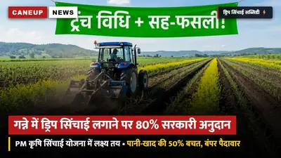 गन्ने में ड्रिप सिंचाई लगाने पर 80% सरकारी अनुदान: प्रधानमंत्री कृषि सिंचाई योजना में 25,000 हेक्टेयर का लक्ष्य — पानी व खाद की 50% बचत