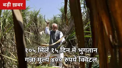 ₹69,163 करोड़ किसानों पर: कृषि मंत्री का बड़ा दावा — 105 मिलें 15 दिन में भुगतान, गन्ना मूल्य ₹400/क्विंटल, जानिए हकीकत