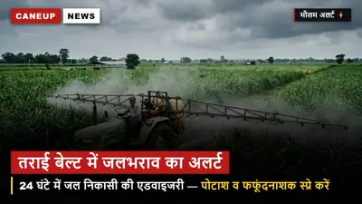 तराई बेल्ट में शारदा-घाघरा बेसिन में जलभराव अलर्ट — 24 घंटे में जल निकासी की कृषि एडवाइजरी