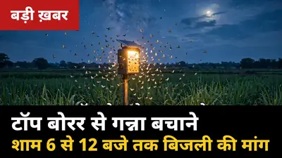 टॉप बोरर से गन्ना बचाने को टिकैत का CM योगी को खुला पत्र: शाम 6 से रात 12 बजे तक सिंगल फेज बिजली की मांग